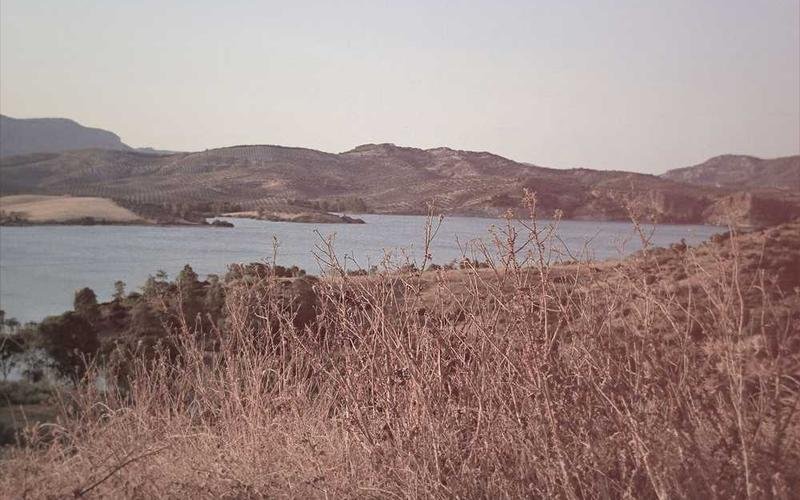 Analytics UI component library