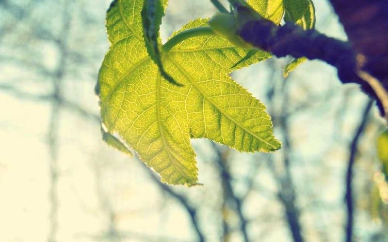 3D Illustration Pack